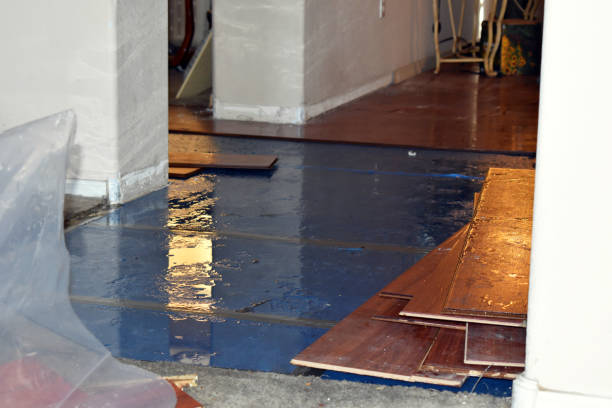 Professional Water Damage Repair technician working in Stowell, TX